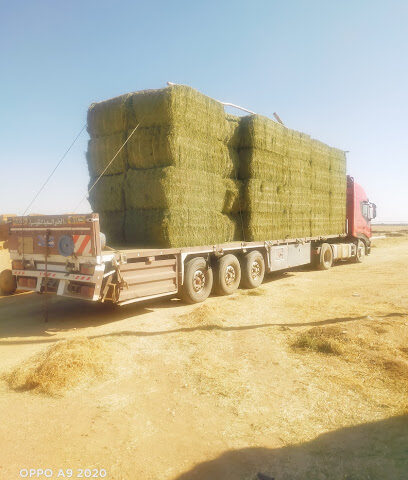 Roudes feed - Dubai - +971 55 420 6933