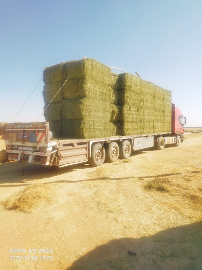 Roudes feed - United Arab Emirates|al anka port - Abu Dhabi|Al rawdha street