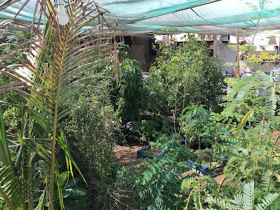 Al Aflaj Irrigation and Landscaping - Dubai - +971 55 164 0202