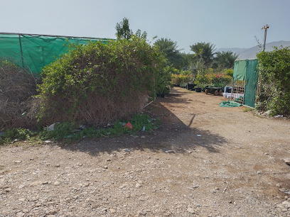 Global Coordinate Garden and Trading - Ras al Khaimah - +971 50 340 7705