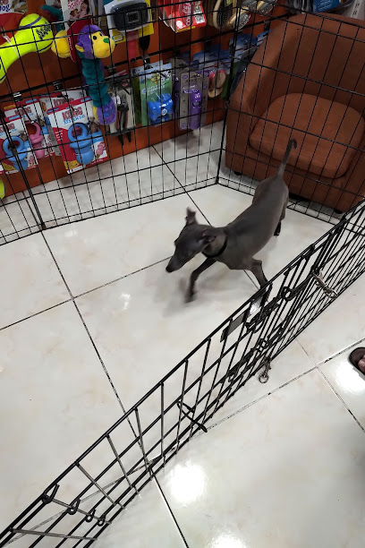 Furs and Feathers Pets - United Arab Emirates|next to brisket - Zayed Port - Al Mina - Abu Dhabi|Shop No - Mina Street|C19