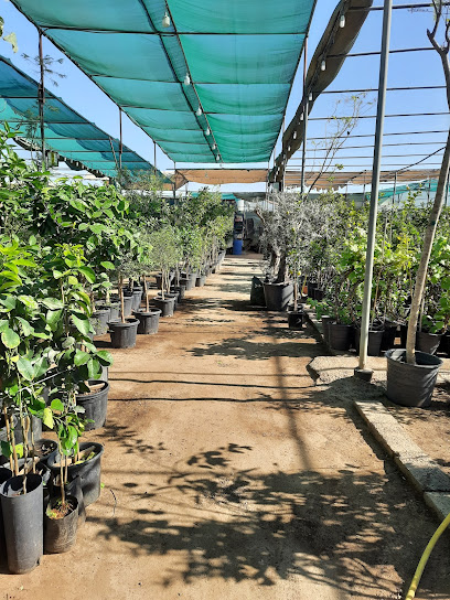 Duscape Plant Shop - United Arab Emirates|Warsan 3 - Dubai