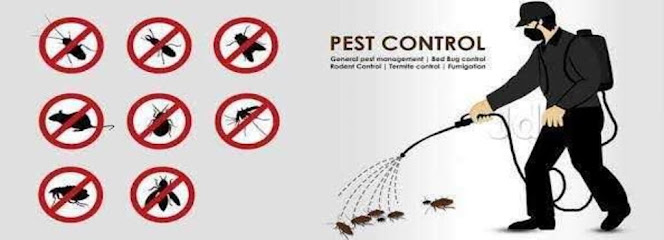 AL MASAH PEST CONTROL AND CLEANING SERVICES - United Arab Emirates|Al Qusais - Al Twar Fourth - Dubai
