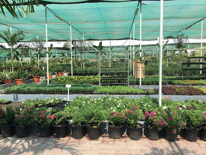 Desert Oasis Nursery - Ras al Khaimah - +971 4 289 1063