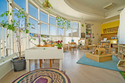 Odyssey Nursery - Khalifa City - Ras al Khaimah - +971 56 484 5510