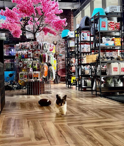 Pets Club LLC - Ras al Khaimah - +971 2 586 7742
