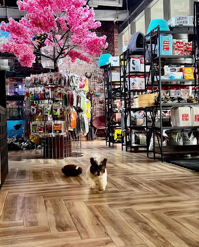 Pets Club LLC - United Arab Emirates|Khalifa City - SE45 - Abu Dhabi|Building C65
