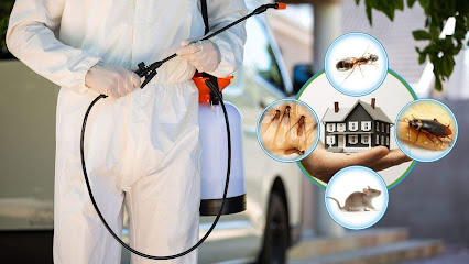 Azher Baijan - Ras al Khaimah - +971 56 591 9432