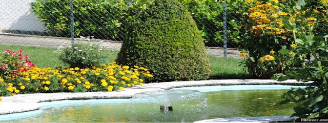 Eezy landscaping & Maintenance dubai - Dubai - +971 55 571 3710