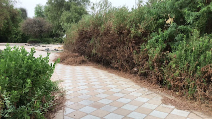 ممشى الصاروج - Fujairah - +971 3 712 8000