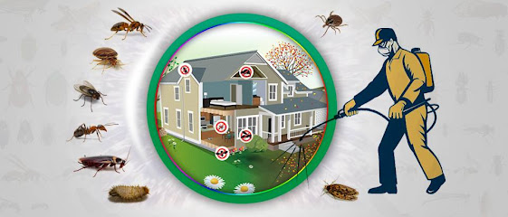 Star Al Madina Pest Control & Cleaning Services - Ras al Khaimah - +971 55 293 1860