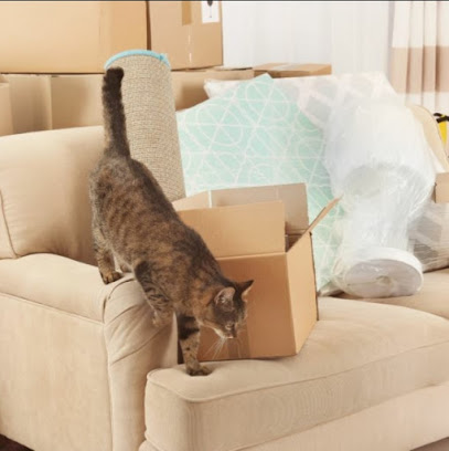 AL SOFOH PROFESSIONAL MOVERS & PACKERS SHIFTING RELOCATION STORAGE SERVICE IN DUBAI - Fujairah - +971 55 522 3147