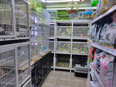 Green Lands Store - Ras al Khaimah - +971 52 518 2727