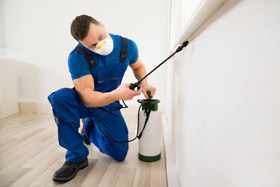 Al Banan Building Cleaning & Pest Control Services - Ras al Khaimah - +971 4 271 6577