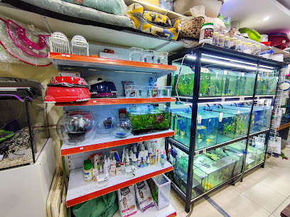 Aquatic life Pets حيوانات اليفة - Ras al Khaimah - +971 52 421 6897