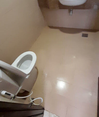 شركة مكافحة حشرات في العين - Ras al Khaimah - +971 54 744 2215
