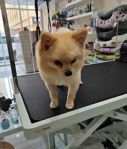 Tree Pet Salon - Ras al Khaimah - +971 55 292 7557