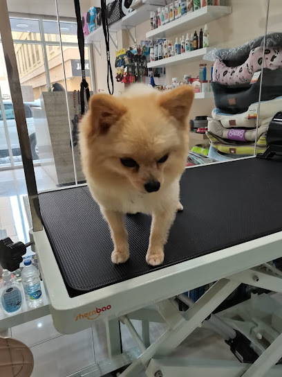 Tree Pet Salon - United Arab Emirates|Sharjah|Muwaileh sharjah commercial