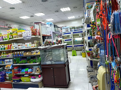 Fish Oasis واحة الأسماك - Ras al Khaimah - +971 50 670 3183