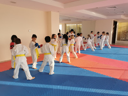 KiDojo Karate School - Dubai - +971 50 503 2381