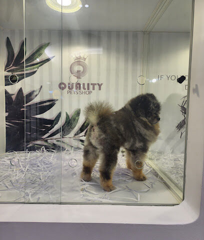 Quality Pets Shop - Ras Al Khaimah كوالتي لتجاره الحيوانات الاليفه - Ras al Khaimah - +971 50 740 4041
