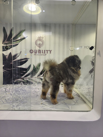 Quality Pets Shop - Ras Al Khaimah كوالتي لتجاره الحيوانات الاليفه - United Arab Emirates|Old Ras Al Khaimah - The Old Market - Ras al Khaimah|شارع كورنيش