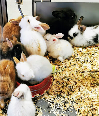 Petzone - Ras al Khaimah - +971 4 321 1424