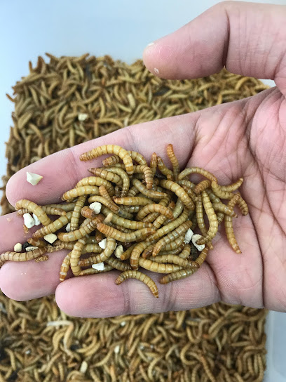 Happy Insects Farm - United Arab Emirates|Al Manhal - Abu Dhabi