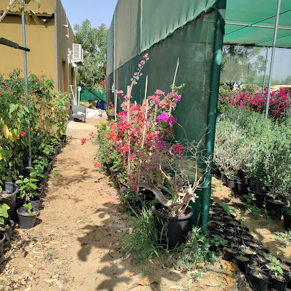 مشتل الواحة - Ras al Khaimah - +971 56 208 5775