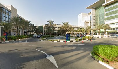 Dr Ashish Malpani - Ras al Khaimah -