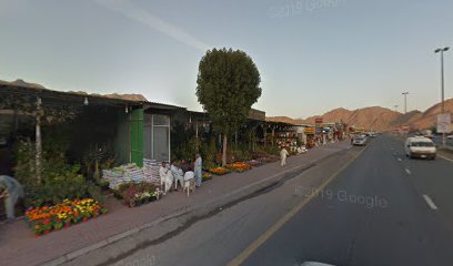 Nursery - Ras al Khaimah - +971 55 728 0990