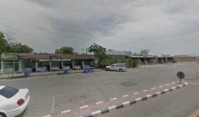 Green Coast Nurseries - Ras al Khaimah - +971 9 238 8786