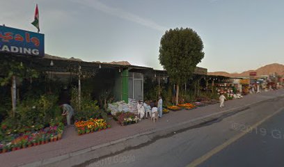 Alanharnursery - Ras al Khaimah - +971 55 728 0990