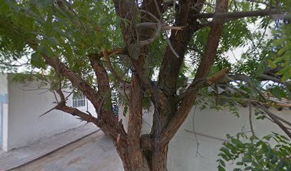 Biba Nursery - Ras al Khaimah -
