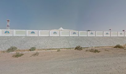Alberair Nursery - Dubai - +971 50 199 4723