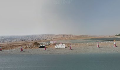 Dealo FZ-LLC - Dubai - +971 58 132 5134