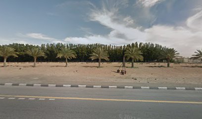 Helia Fields - Dubai - +971 6 526 4210