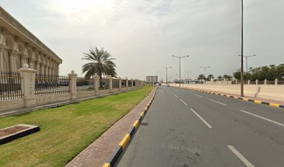 Vega Links Intl Trdg LLC - Dubai - +971 55 153 2855