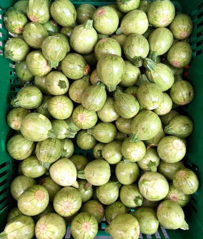 The Farmers' Market On The Terrace - Sharjah -