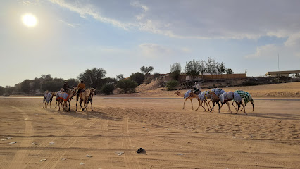 Lubsa camel race track - Sharjah -
