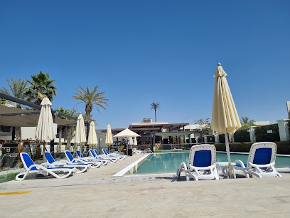 Paramount Pools - Sharjah -