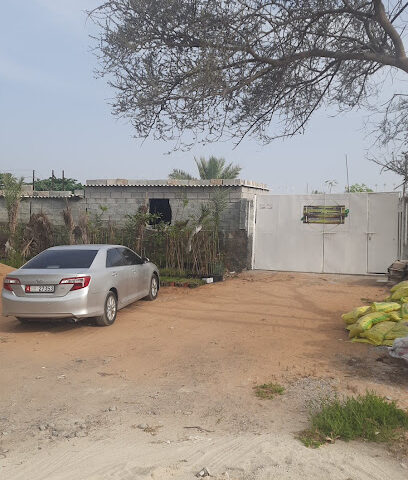مزرعة نشوان لصاحبها سعيد الحنطوبي nashwan farm - Umm Al Quawain - +971 50 989 8994