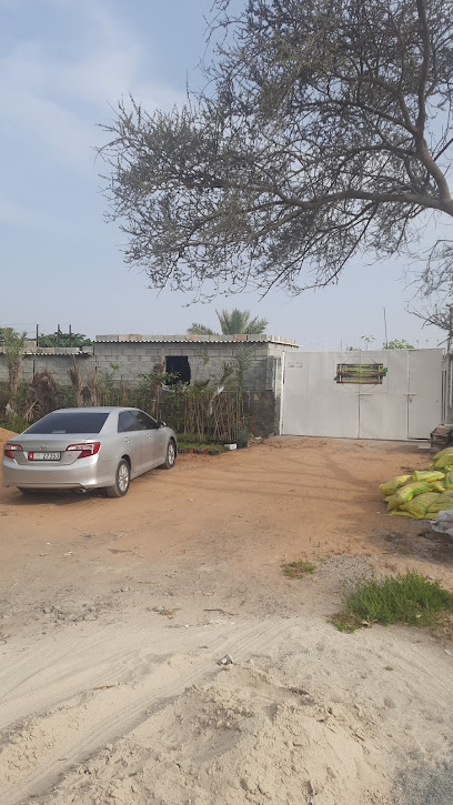 مزرعة نشوان لصاحبها سعيد الحنطوبي nashwan farm - United Arab Emirates|Al Bidyah - Fujairah|C8RX+69