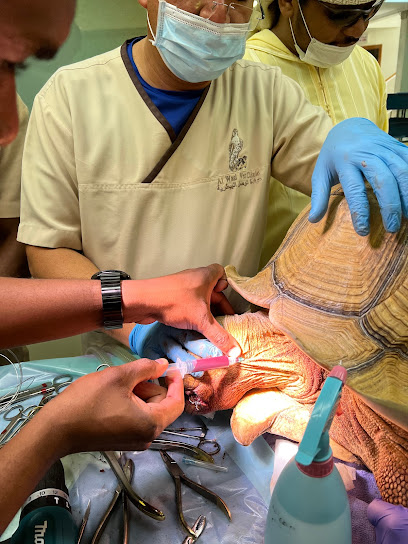 Falcon Centre (Al Wasl Veterinary Clinic) - United Arab Emirates|Jumeirah - Jumeirah 1 - Dubai