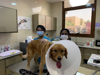 Vets Fur Pets - Umm Al Quawain - +971 4 330 4408