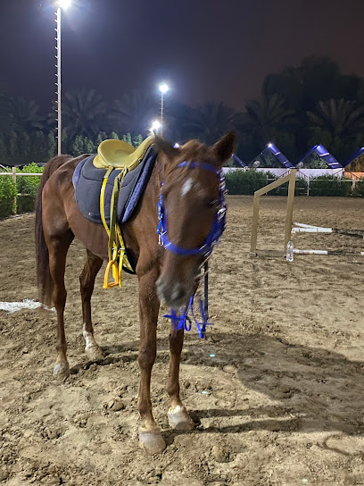 M3 horse riding stable - United Arab Emirates|Wadi Al Amardi - Dubai|5FXM+JG7