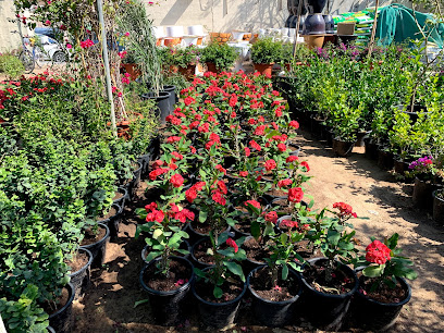 Mohd Ibrahim Agricultural Establishment - Umm Al Quawain - +971 6 538 5083