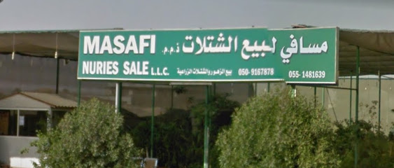 Masafi Nursery - Umm Al Quawain - +971 55 148 1639