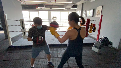 Perform Boxing Studio - Sharjah - +971 58 587 7269