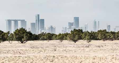 Jubail Island (JIIC) - Sharjah - +971 2 448 0011